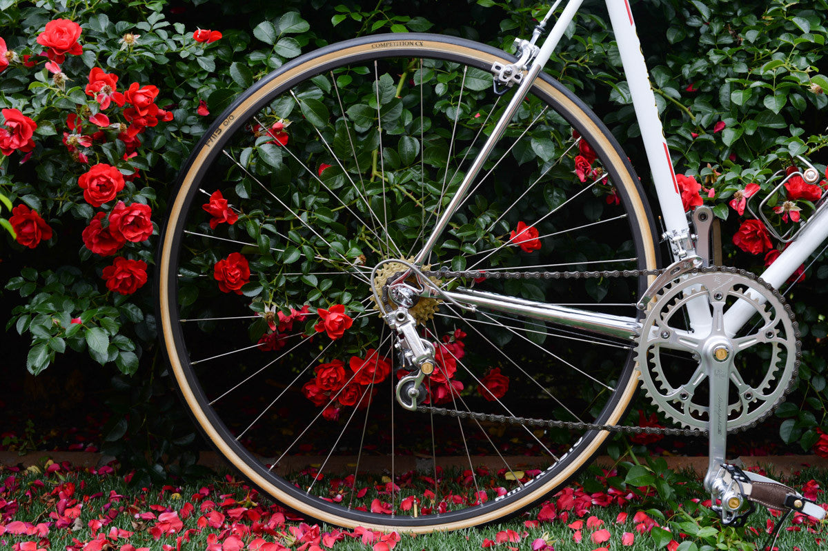 Colnago - Campagnolo 50th Anniversary