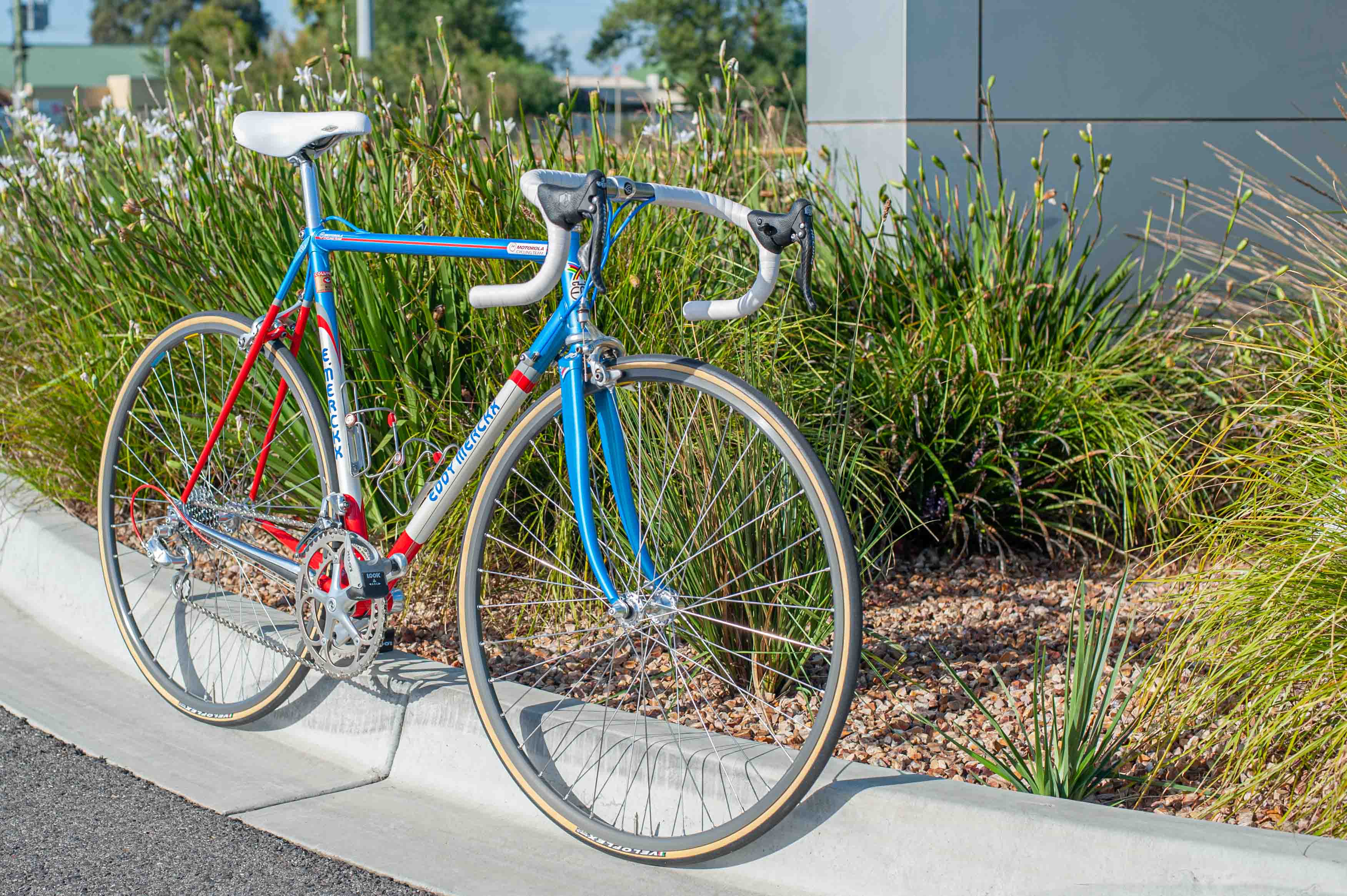 Boomerang Bikes - Eddy Merckx Motorola MX-Leader MXL