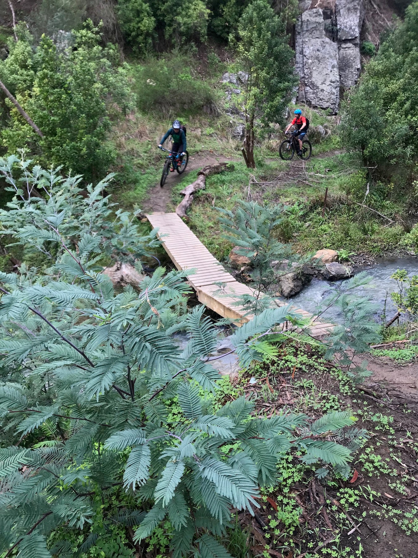 Plenty Gorge & Norge MTB trails - Explore the network