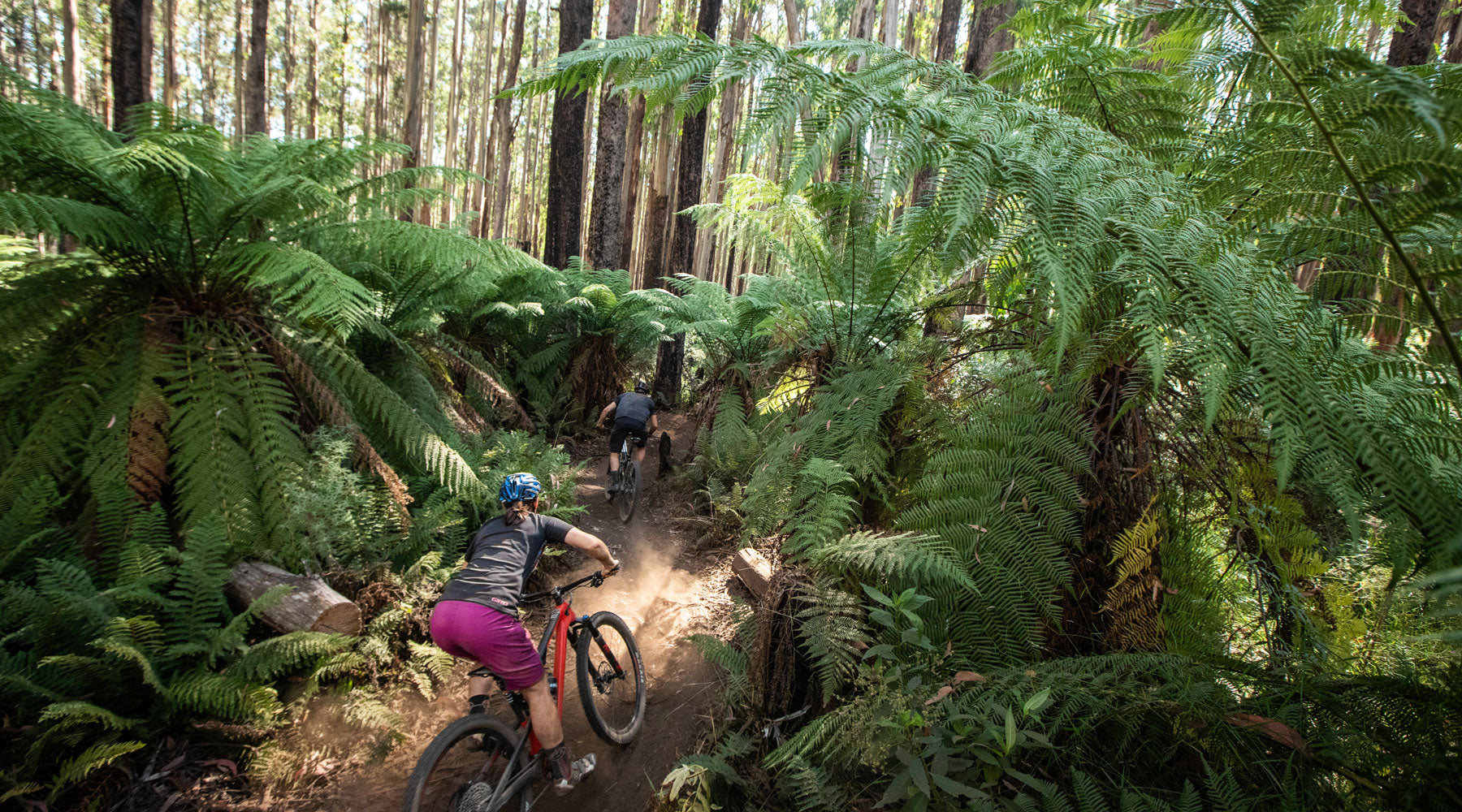 Lake Mountain Cascades MTB Trail