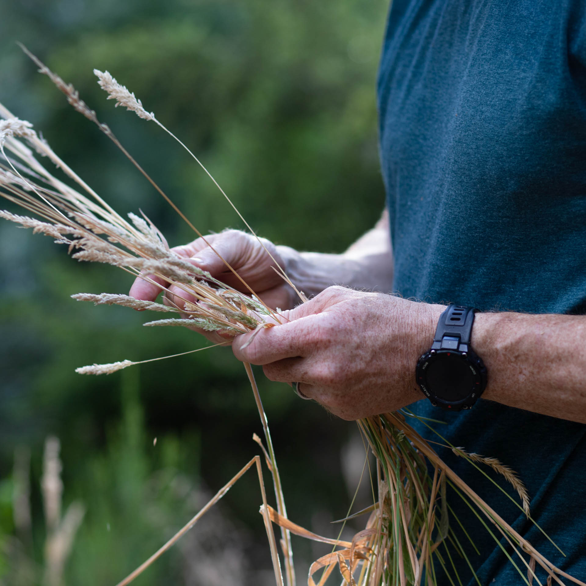 Merino Short Sleeve T-shirt - FYXO